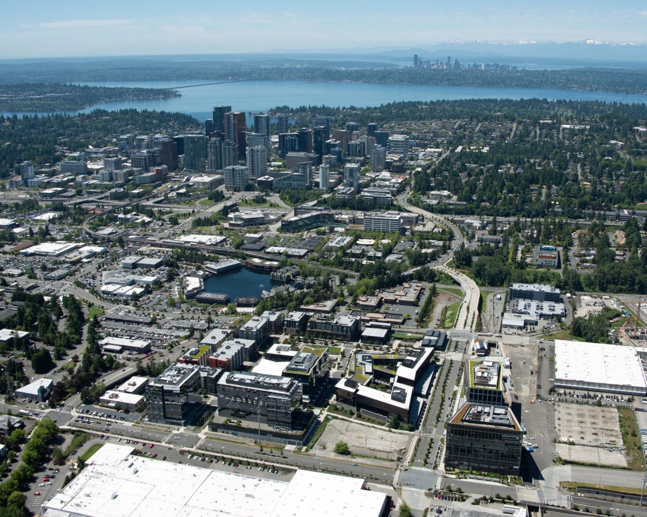 Rainier tower flyover